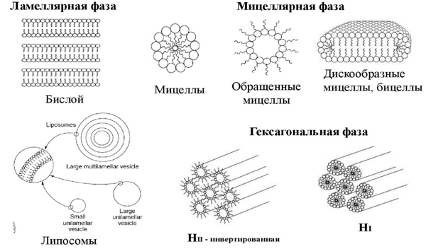 Вопрос-Ответ